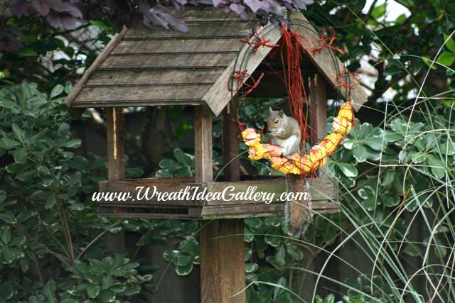 Corn cob wreath for your backyard friends