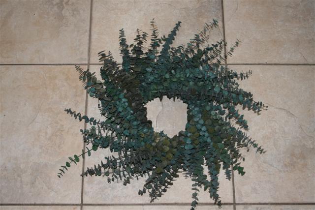 Eucalyptus Wreath form